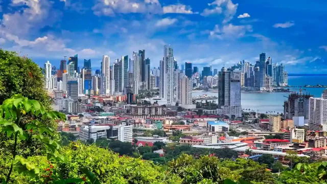 Panama Is Back!